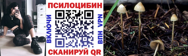 Галлюциногенные грибы GOLDEN TEACHER  Озёрск 
